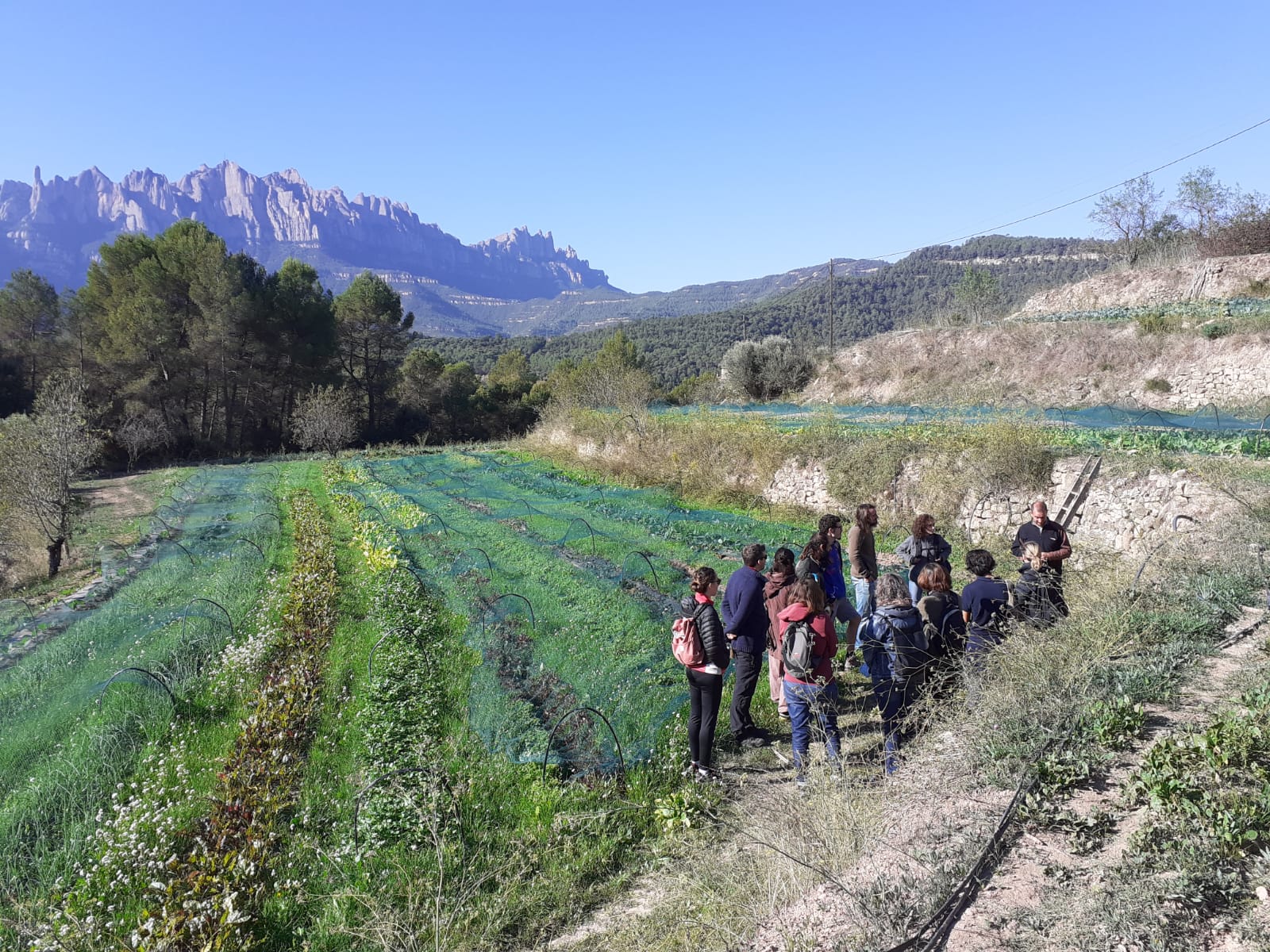 Se celebra el primer microcurs d’horta ecològica organitzat pel Banc de Terres del Parc Rural del Montserrat