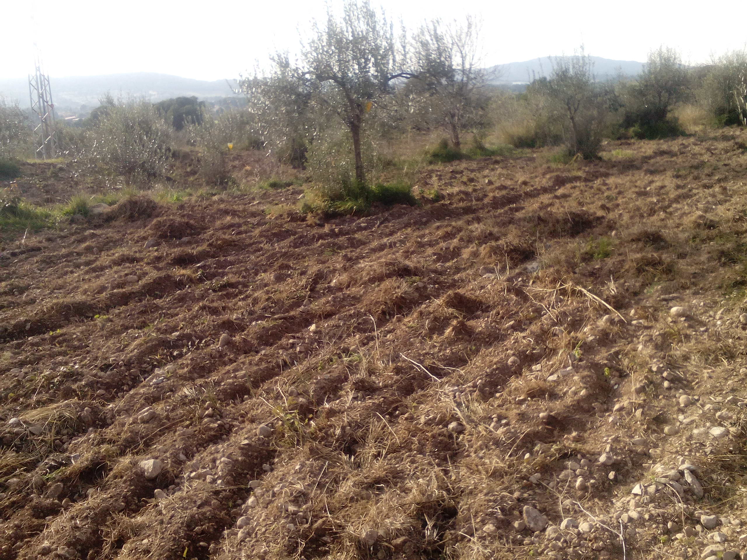 El Banc de Terres del Parc Rural del Montserrat dóna resposta a una demanda en continu creixement