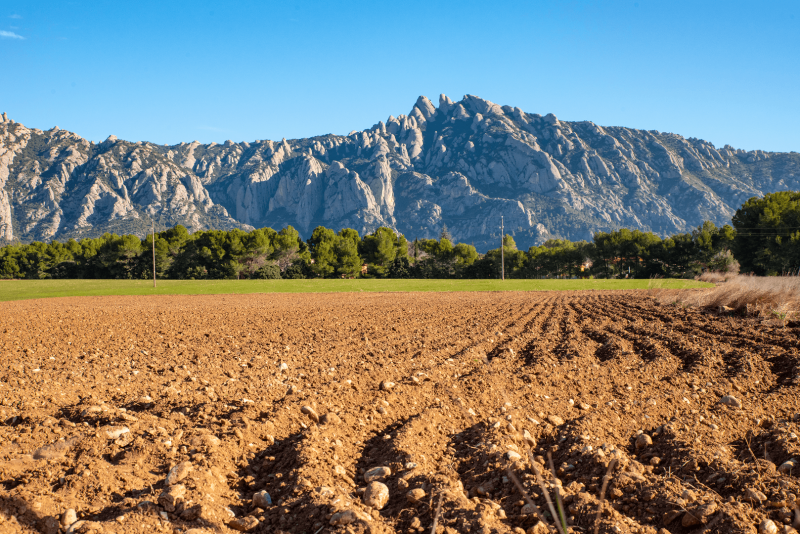 Marc Puig - Parc Rural Montserrat