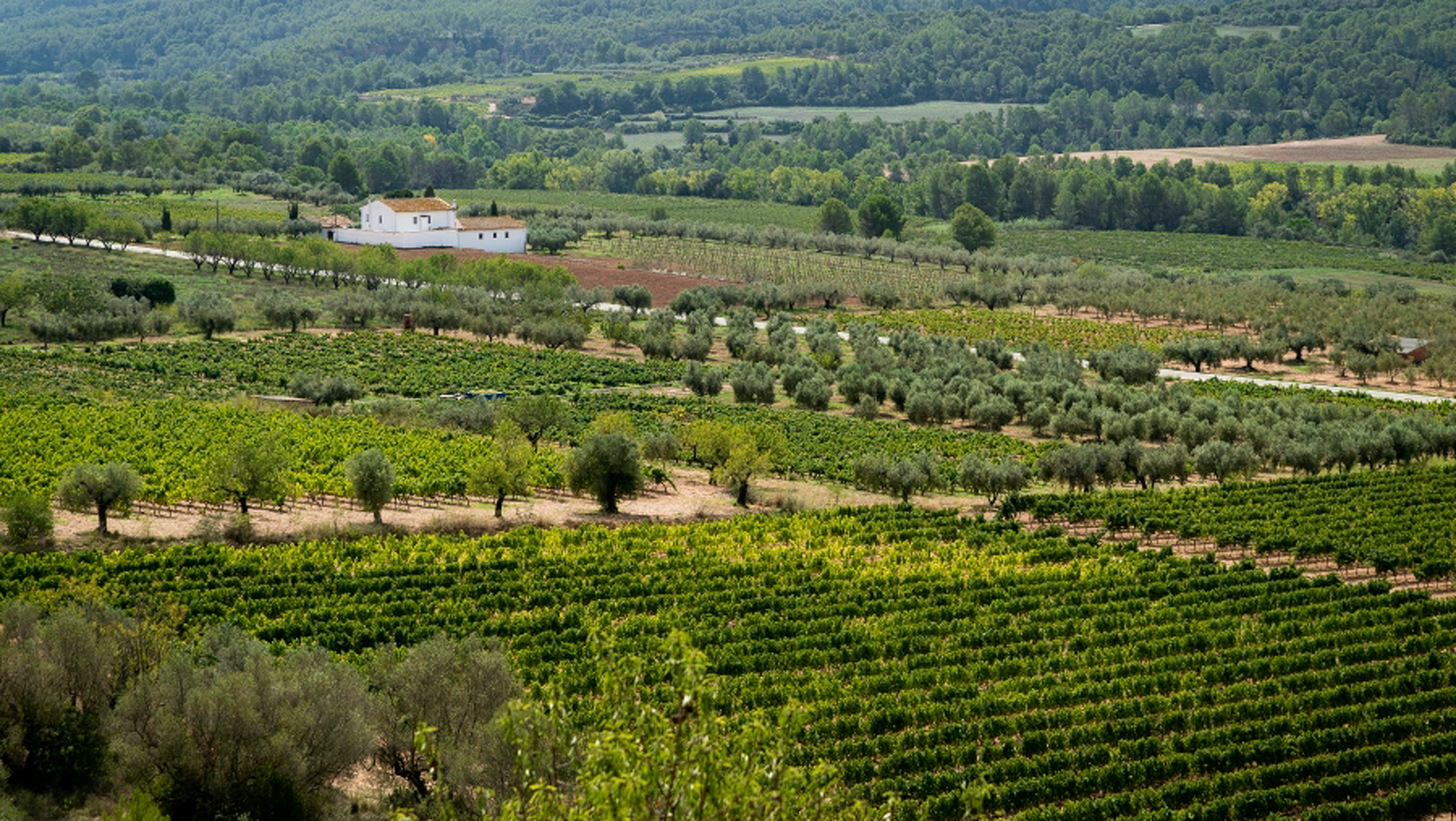 20210915_DTA_PRM_PatxiUriz__Piera_DSC7457