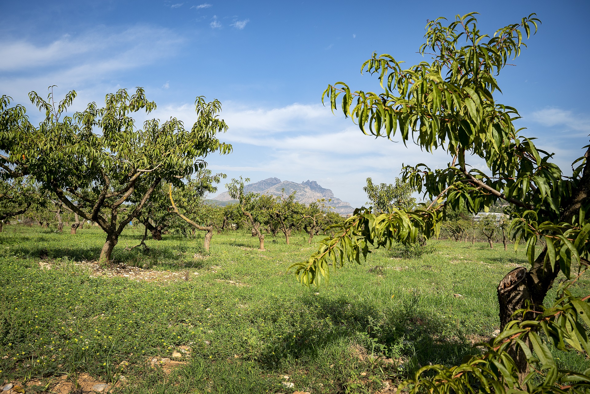 finca a esparreguera