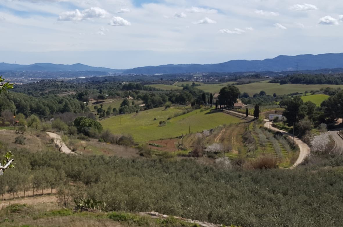 El Parc Rural del Montserrat, l’associació de municipis situats a l’entorn de la muntanya de Montserrat per promoure noves iniciatives econòmiques en aquest territori, especialment en el desenvolupament agrari, presenta el Banc de terres, un projecte per recuperar i posar en valor terrenys agrícoles que estan en desús o abandonats, posar-los novament en activitat i facilitar el seu accés a nous productors. Les presentacions es faran en quatre municipis del Parc Rural durant aquest mes d'octubre en les quals estan convidats a participar-hi tant els propietaris de terres com els seus potencials arrendataris.  Camps de conreu de Collbató, al Parc Rural del Montserrat Foto: Diputació de Barcelona Camps de conreu de Collbató, al Parc Rural del Montserrat Foto: Diputació de Barcelona La iniciativa del Banc de terres forma part del projecte europeu BCN Smart Rural cofinançat per la Diputació de Barcelona i els fons FEDER (Fons Europeu de Desenvolupament Regional), amb la voluntat de posar en contacte els propietaris de terres i persones que busquen terres per conrear, i donar el suport tècnic i jurídic que millor s’adapti a les necessitats d’ambdues parts.  Per als propietaris de les terres, els avantatges de participar en un banc de terres van des de poder millorar i revalorar el seu terreny, com també fer possible el lloguer de les terres i per tant, treure’n un rendiment econòmic, a banda també de disposar d’una terra ben gestionada i minimitzar el risc d’incendis forestals.  D’altra banda, per als pagesos o futurs pagesos, els avantatges van des de la possibilitat de poder disposar d’un terreny agrícola per desenvolupar el seu projecte fins a la possibilitat d’ampliar la seva explotació agrària. En el cas dels futurs pagesos, se’ls dona la possibilitat de testar la seva activitat abans de crear el seu propi negoci.  La presentació del Banc de terres es farà en quatre sessions durant aquest mes d’octubre en quatre dels municipis del Parc Rural adreçades a propietaris de terres i les persones interessades en arrendar-