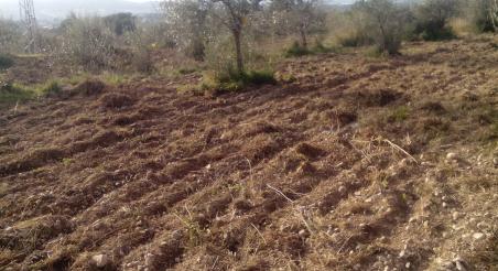 El Banc de Terres del Parc Rural del Montserrat dóna resposta a una demanda en continu creixement
