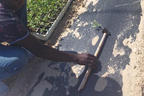 ProjecteCoopera2