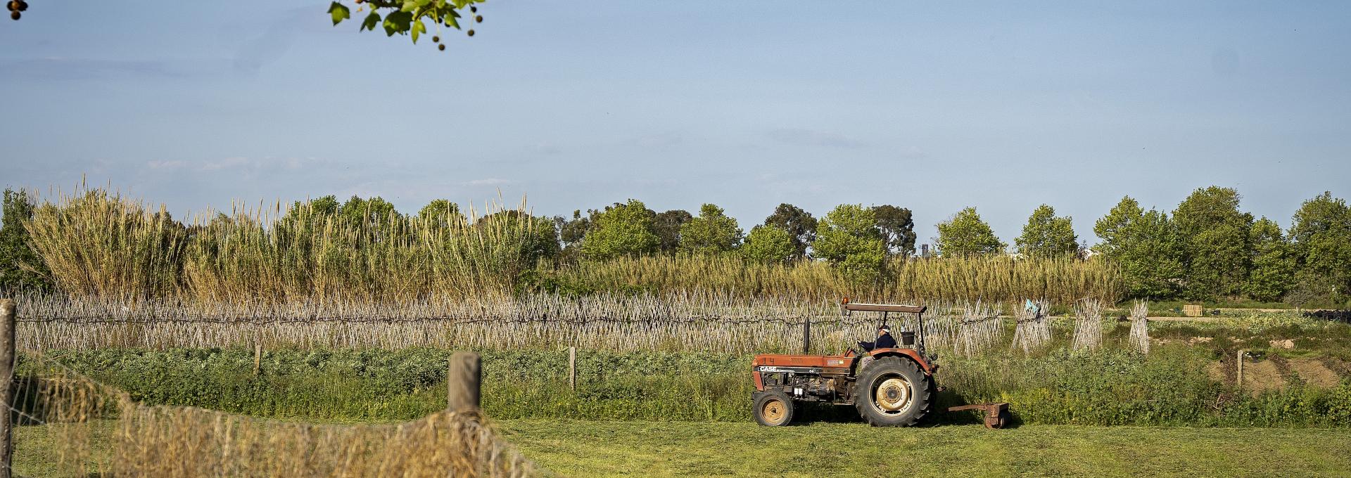 Tractor_PABLL