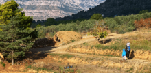 El Parc Rural del Montserrat endega un banc de terres a Olesa
